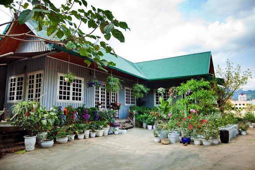 Mái nhà lợp màu xanh lá mang lại không gian tươi mới khi kết hợp với hệ thống cây cảnh, chậu hoa trước nhà